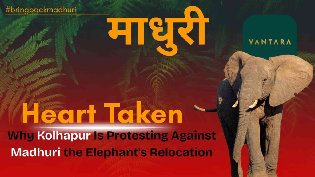 Villagers protesting in Kolhapur during the Madhuri elephant protest.