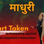 Villagers protesting in Kolhapur during the Madhuri elephant protest.